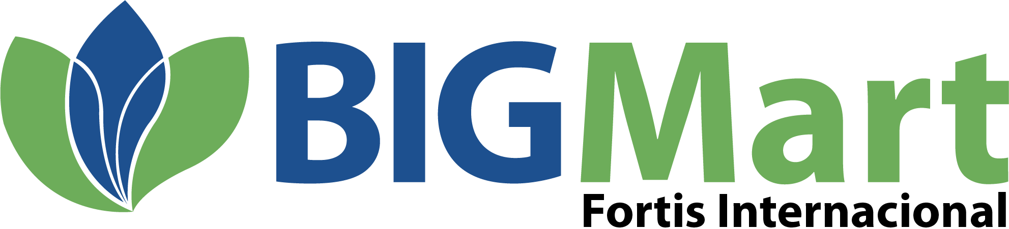BigMart S.L. | Expertos en Logística y Distribución Global